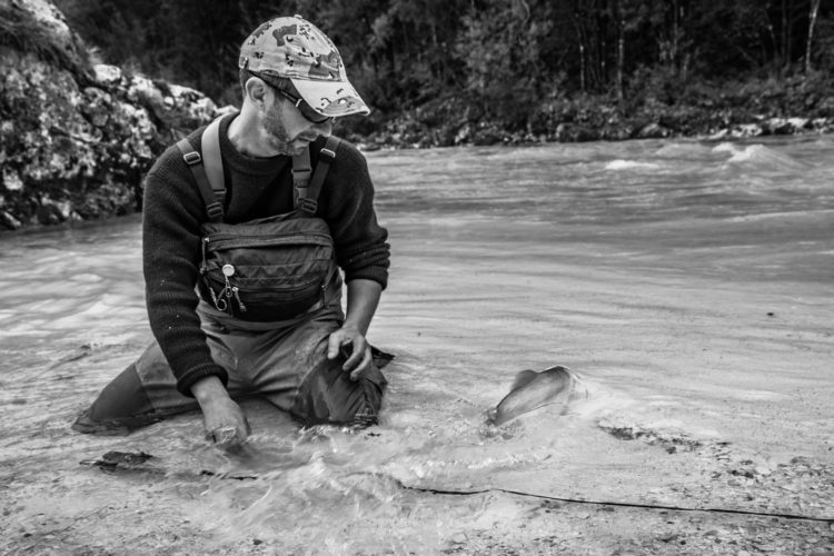 Ein Entnahmefenster verpflichtet Angler auch Fische über dem Maximalmaß schonend zurückzusetzen.