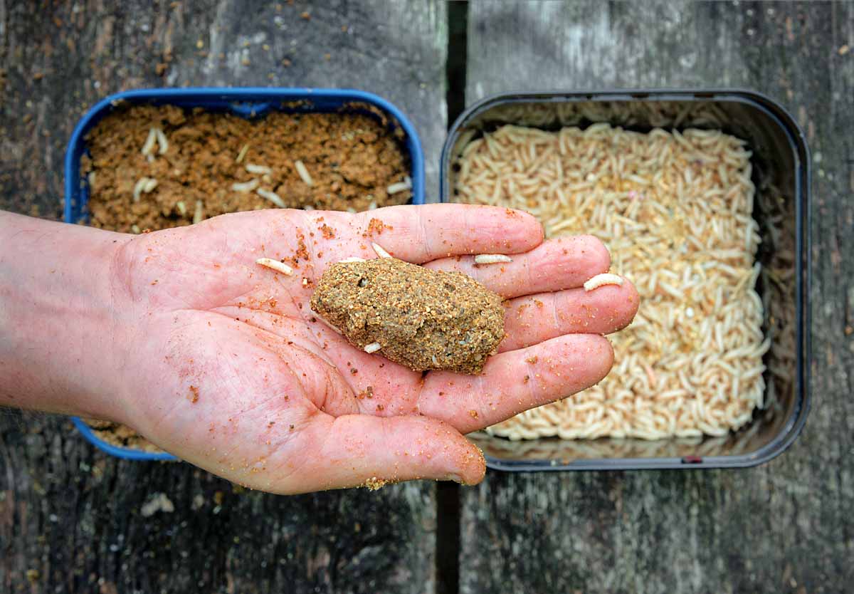 Marschverpflegung: Ein wenig Futter und einen Liter Maden – mehr braucht man nicht, um die Fische anzulocken. Ersteres wird so lange angefeuchtet, bis sich feste Ballen formen lassen. Die Maden im Futter dienen als Appetithappen.