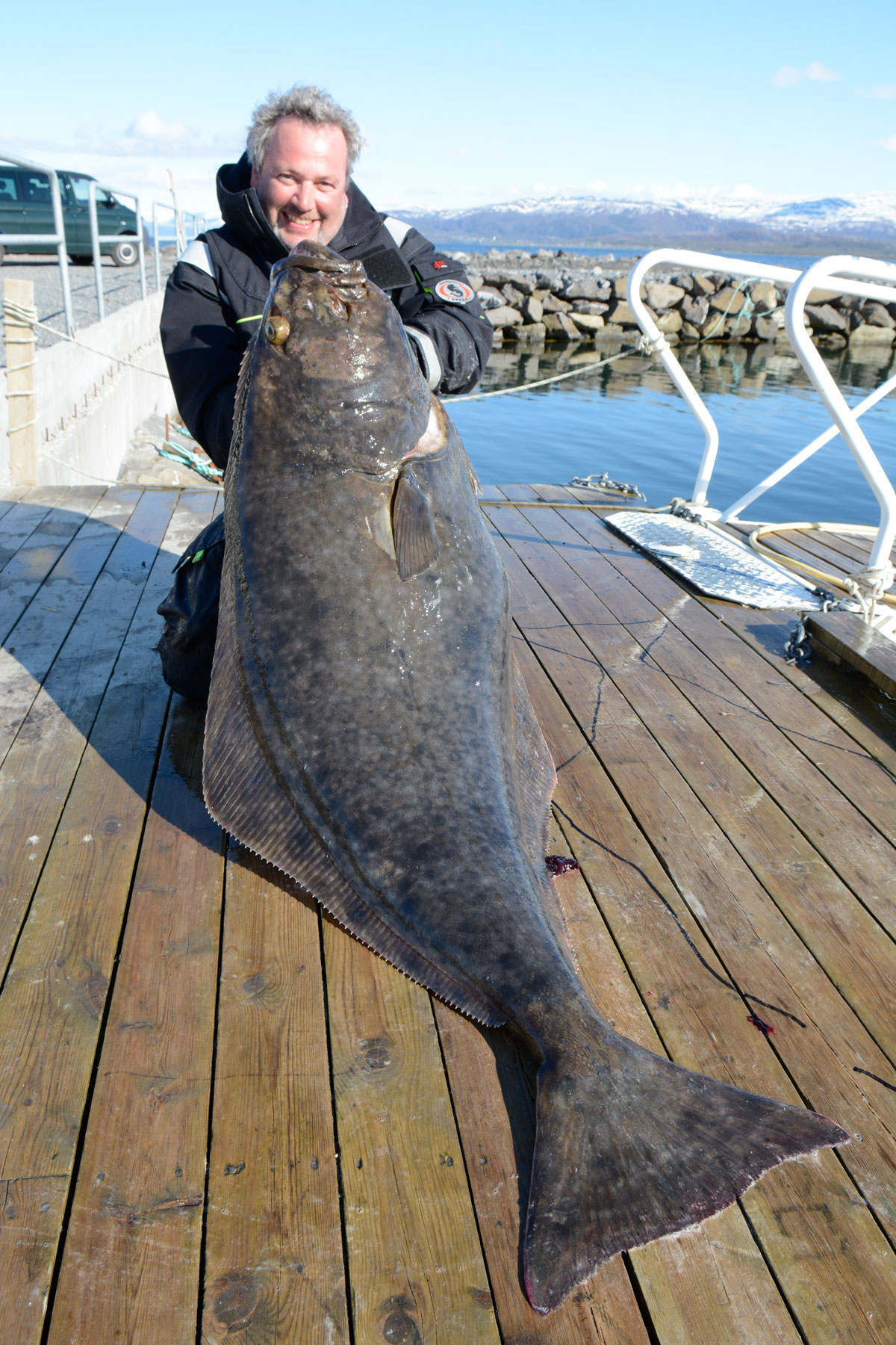 „Die Königsklasse: Spinnfischen auf Heilbutt“ – in seinem Webinar gibt euch Rainer Korn einen Intensivkurs im Heilbuttangeln. Foto: R. Korn