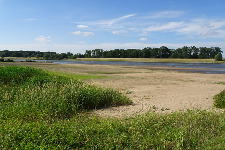 Trockener Bereich der Elbe bei Schönberg im Juni. Hier entsteht das klimaschädliche Gas CO2!