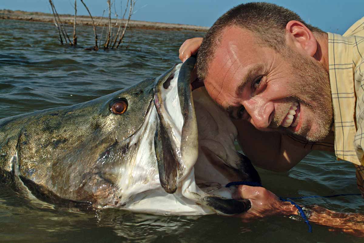 Ein Maul wie ein Postkasten! Keine Frage: Nilbarsche gehören zu den Königsfischen für echte Raubfisch-Freaks.