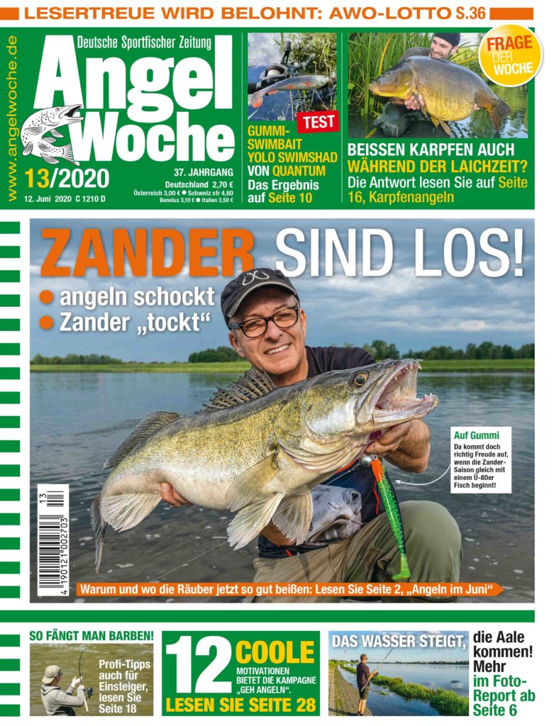 AngelWoche Ausgabe 13 2020