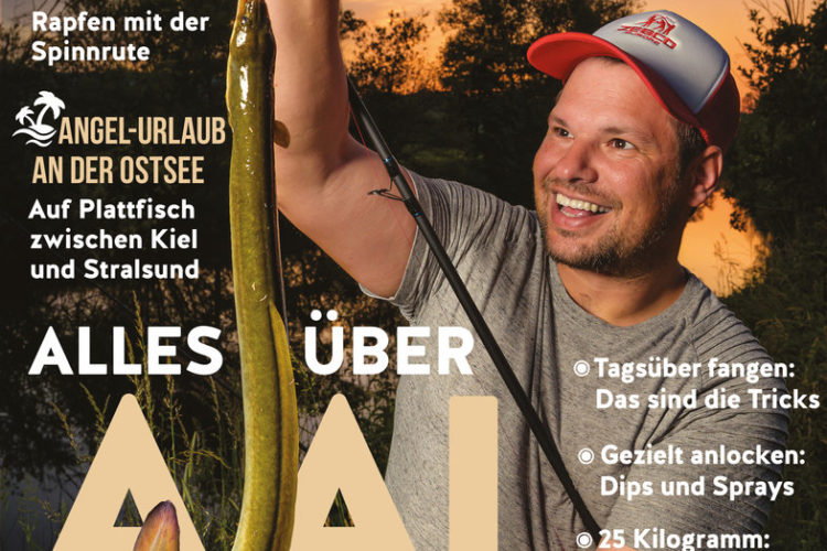 Der neue BLINKER 08/2020 – ab sofort im Handel! Bild: BLINKER