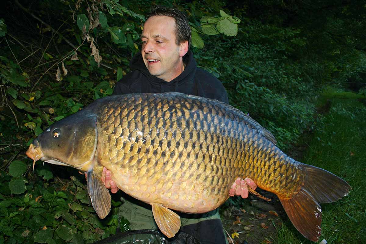 Nach dem KHV-Ausbruch war „der Holländer“ 2013 der erste Großfisch, der wieder aus dem Neckartal gemeldet wurde. Steffen Pammer fing ihn im Herbst des Jahres mit 26,5 Kilo! Der selbe Fisch wurde 2019 mit 28,8 Kilo gefangen – der aktuell größte bekannte Karpfen im Neckar.