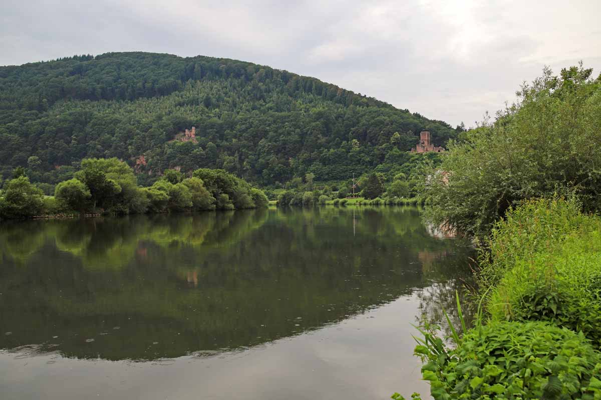 Das Neckartal zwischen Neckarsteinach und Neckarzimmern besticht durch eine malerische Landschaft.