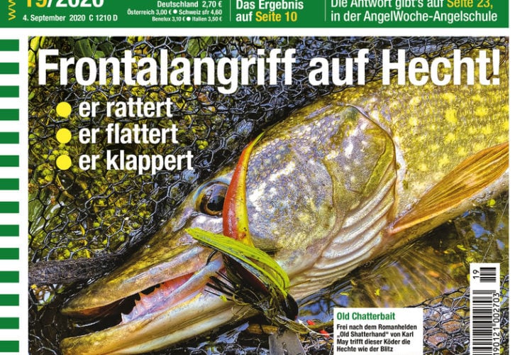 AngelWoche Titel Ausgabe 19 2020