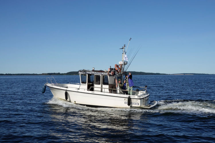 Mit großen Motorbooten ging es auf den Bodden als auch auf die Ostsee Kurs Hecht, Barsch und Dorsch. Foto: R. Korn