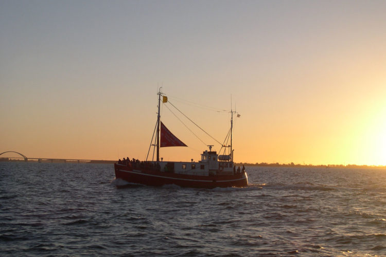 Mehrere Naturschutzzonen in der Ostsee sind seit 2017 für Kutter- und Bootsangler gesperrt. Foto: D. Schröder