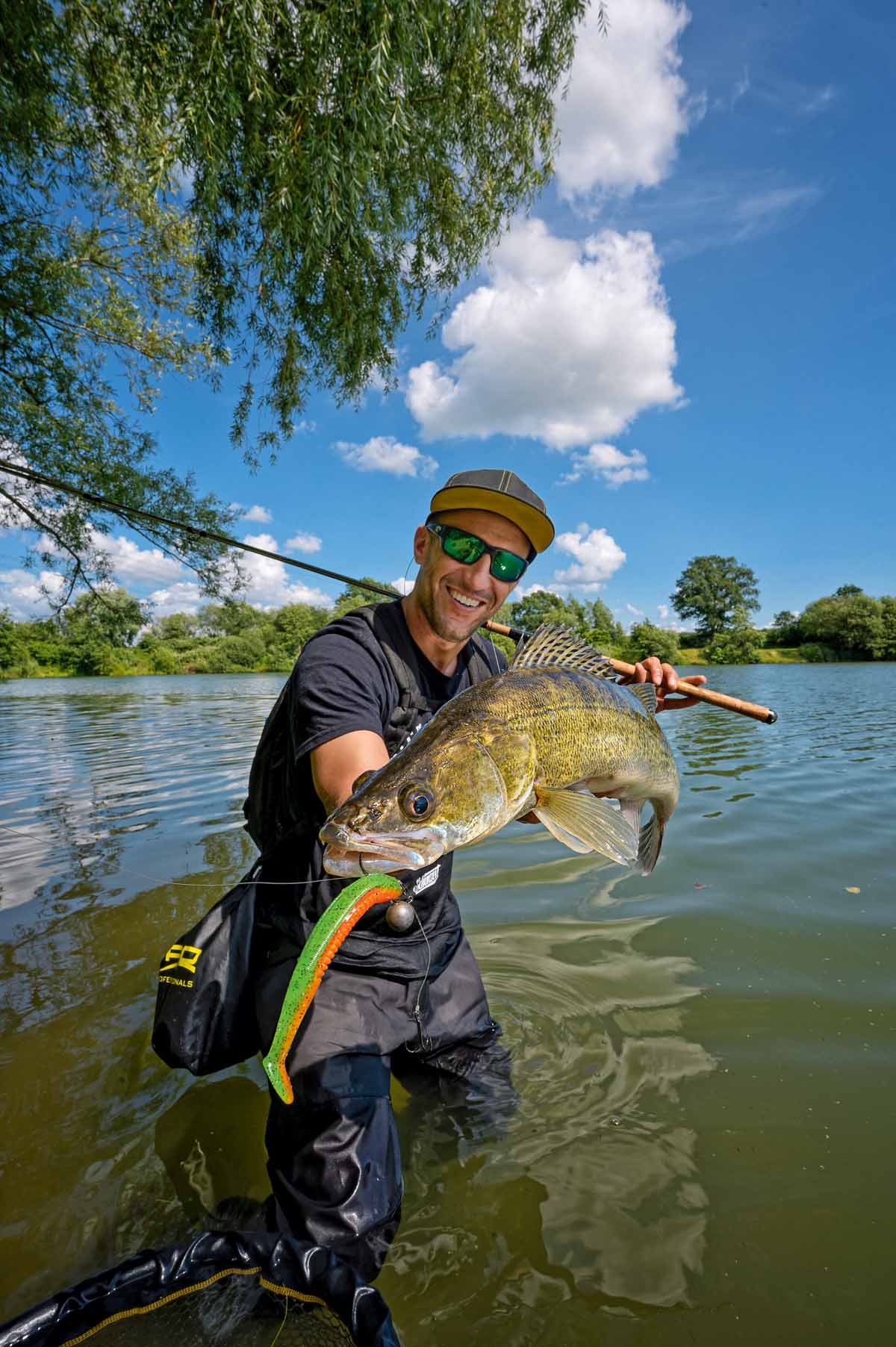 Ein erster Zander aus dem Stehgewässer ist gelandet. Dieses Mal auf einen Low-Action-Shad in Grün/Orange.