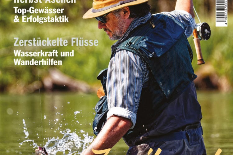 Die neue FliegenFischen 6/2020 ist ab sofort im Handel und online erhältlich! Bild: FliegenFischen