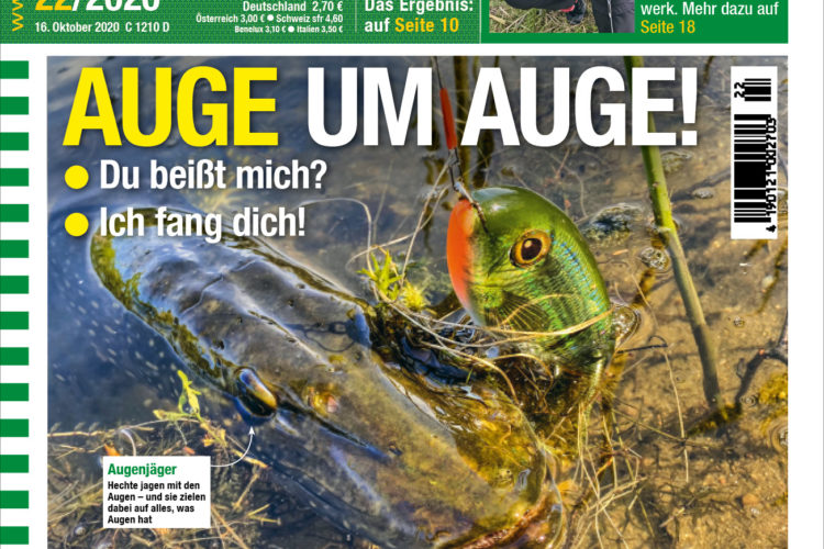 AngelWoche Titel Ausgabe 22 2020