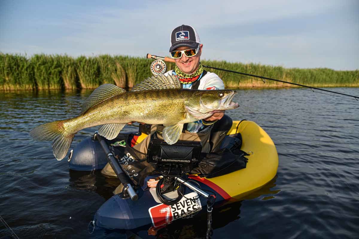 Das Fliegenfischen auf Zander ist für Steffen Schulz beinahe eine Sucht. Die Fische lieben langsam fließende, trübe Flüsse oder größere, nicht zu flache Seen. Foto: S. Schulz