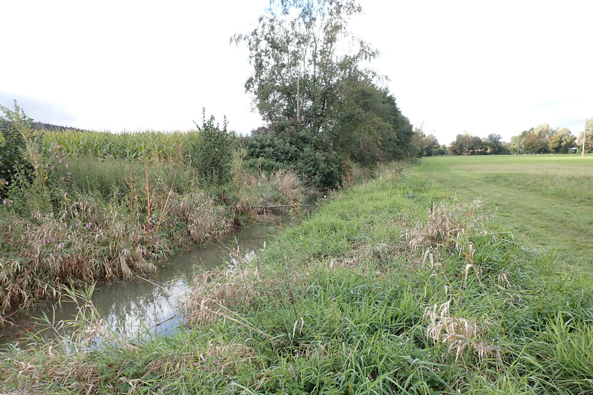 Der Landkreis Landshut in Bayern plant ein neues Wasserkraftwerk am Further Bach. Vorhaben wie dieses sollen in Zukunft einfacher umgesetzt werden – Kritiker aus mehreren Verbänden wehren sich dagegen.