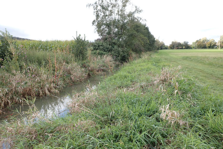 Der Landkreis Landshut in Bayern plant ein neues Wasserkraftwerk am Further Bach. Vorhaben wie dieses sollen in Zukunft einfacher umgesetzt werden – Kritiker aus mehreren Verbänden wehren sich dagegen.