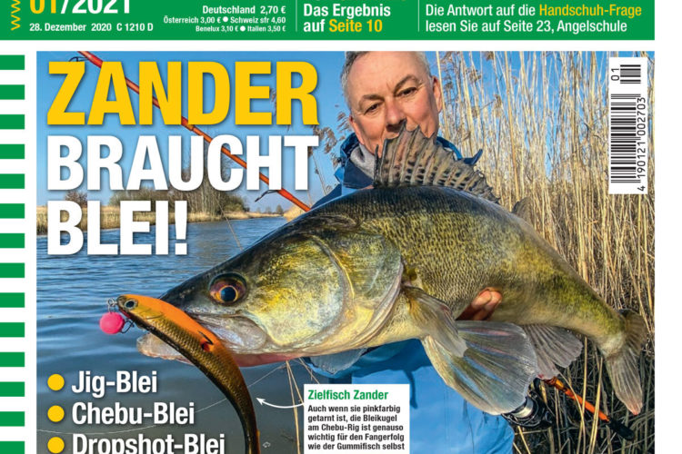 AngelWoche Titel Ausgabe 01 2021