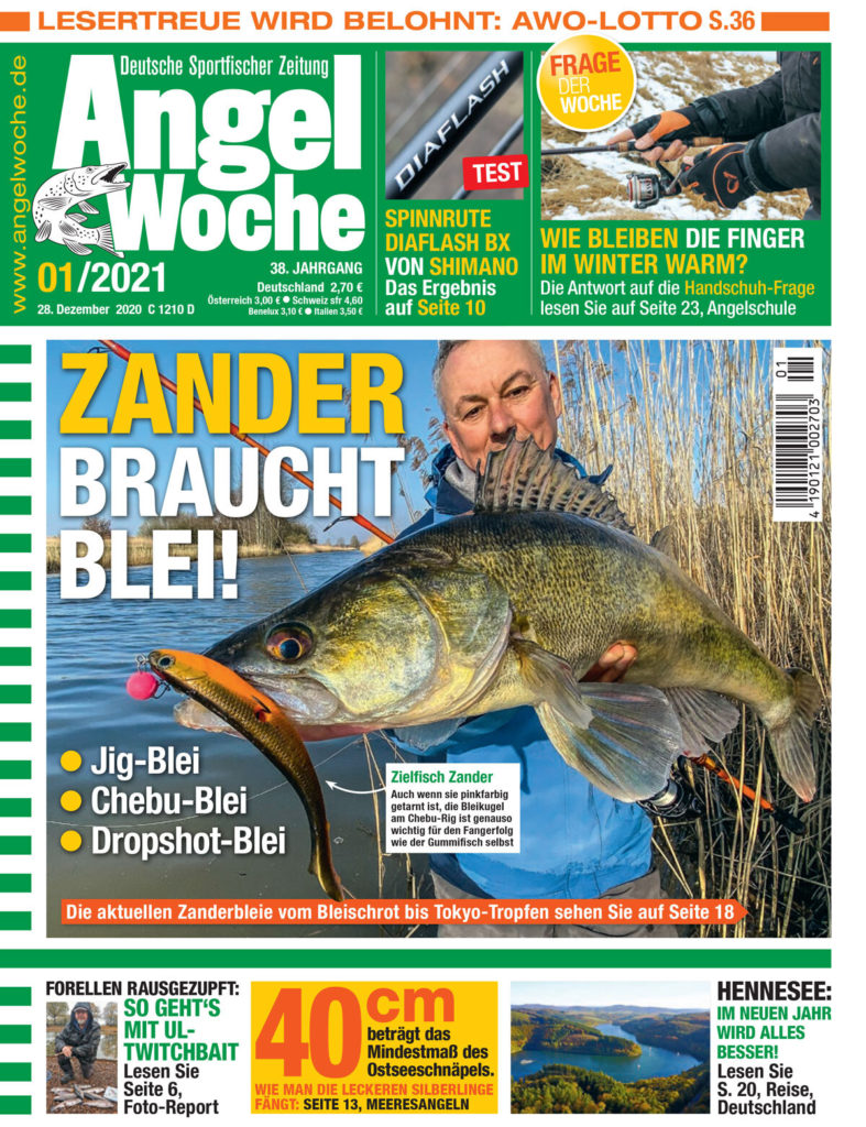 AngelWoche Titel Ausgabe 01 2021