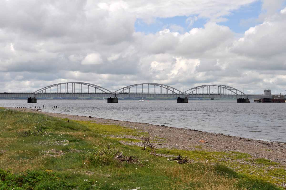 Die Engstelle Oddesund weit im Westen des Fjordes biete starke Strömung und fast alle interessanten Fischarten der Nordsee als Beute. Foto: Wiki Commons