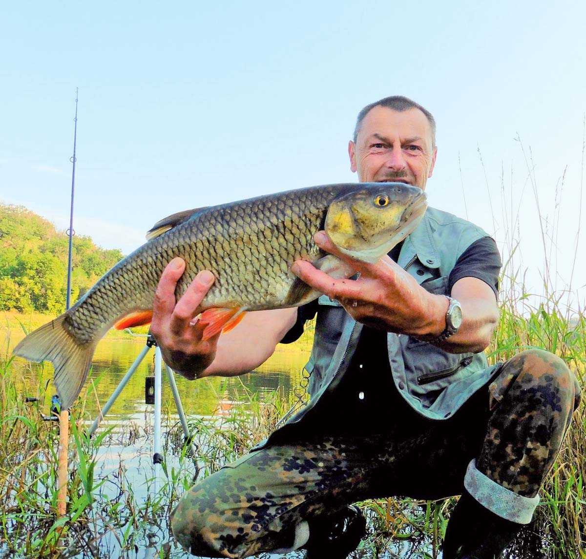 Frühstücksfleisch verführte den größten Döbel in der Hitparade zum Biss. Der 60 Zentimeter lange Fisch ließ sich von Frank Schubert in der Freiberger Mulde an den Haken bringen und sicher landen. Die Waage zeigte ein Gewicht von 2,40 Kilo.