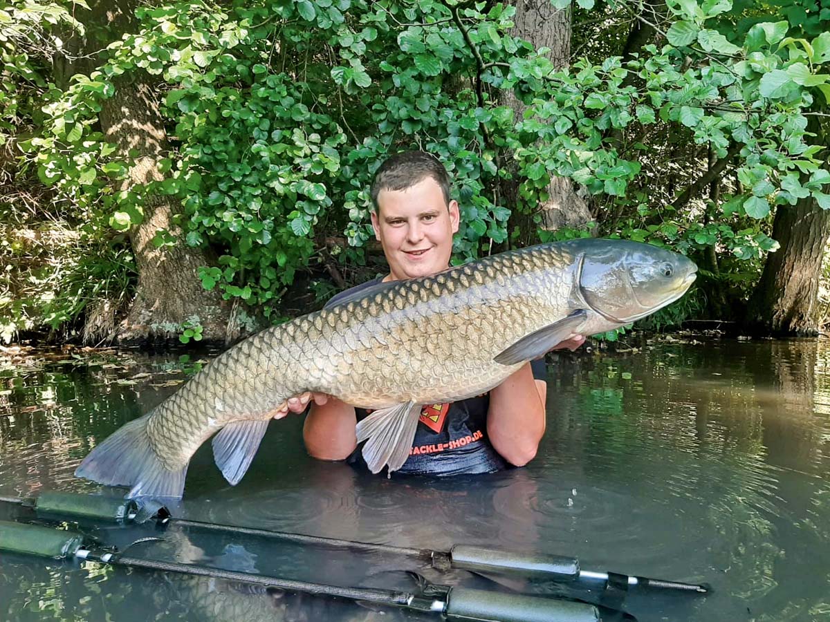 Mit 118 Zentimeter Länge brachte der Grasfisch von Matthias Leblang ein Gewicht von 30 Pfund auf die Waage. Gefangen wurde der Fisch in einem Gewässer bei Wertingen. Erfolgsköder war eine Semmel (für Norddeutsche: ein Brötchen).