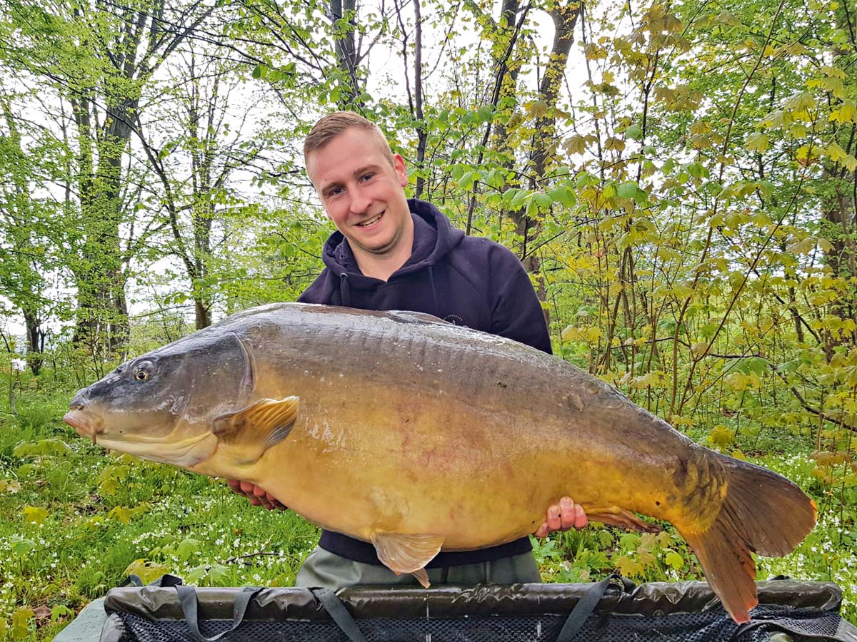 Im Sternberger See fing Tim Waack seinen XXL-Karpfen auf Boilie. Der riesige Fisch schrammte mit 49 Pfund 450 Gramm gerade an der 50-Pund-Marke vorbei, wird aber einer der Fische bleiben, die Tim nicht vergessen wird. Länge: 1,08 Meter