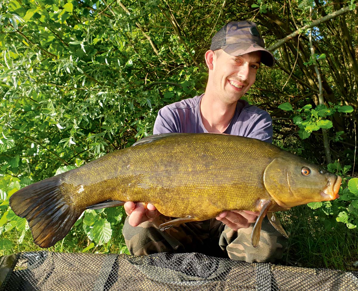 In einem Baggersee bei Düsseldorf in Nordrhein-Westfalen war Tobias Neumann mit seiner 60 Zentimeter langen Schleie erfolgreich. Der große Fisch konnte einem Pop-Up nicht widerstehen. Die Schleie biss Ende Mai. 