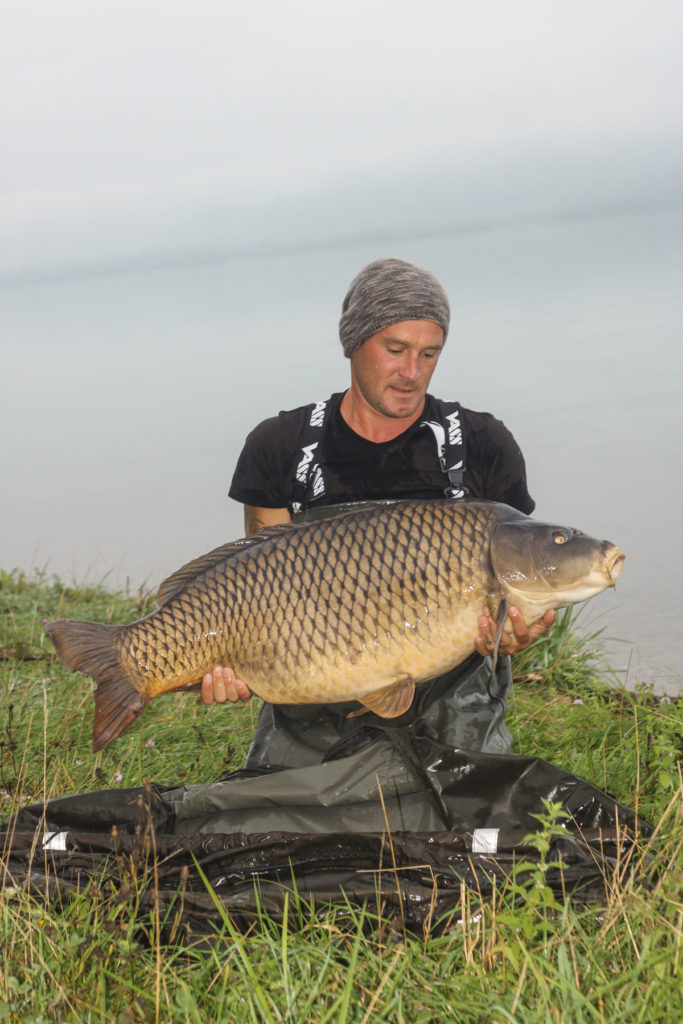 Karpfen wie dieser mit knapp unter 30 Kilo bilden die Obergrenze am Völkermarkter Stausee.