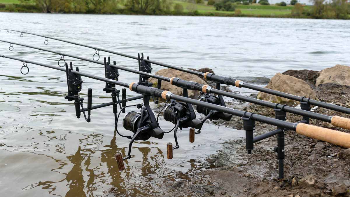 New Direction Tackle 3 Rod Carbon Buzz bar 12.5 inch for carp