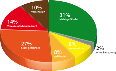 Rote Liste der Fische am Beispiel Baden-Württemberg: Nur noch 31% aller Fischarten gelten als nicht gefährdet. Mehr als die Hälfte sind stark gefährdet, vom Aussterben bedroht oder bereits ausgestorben. Grafik: DAFV