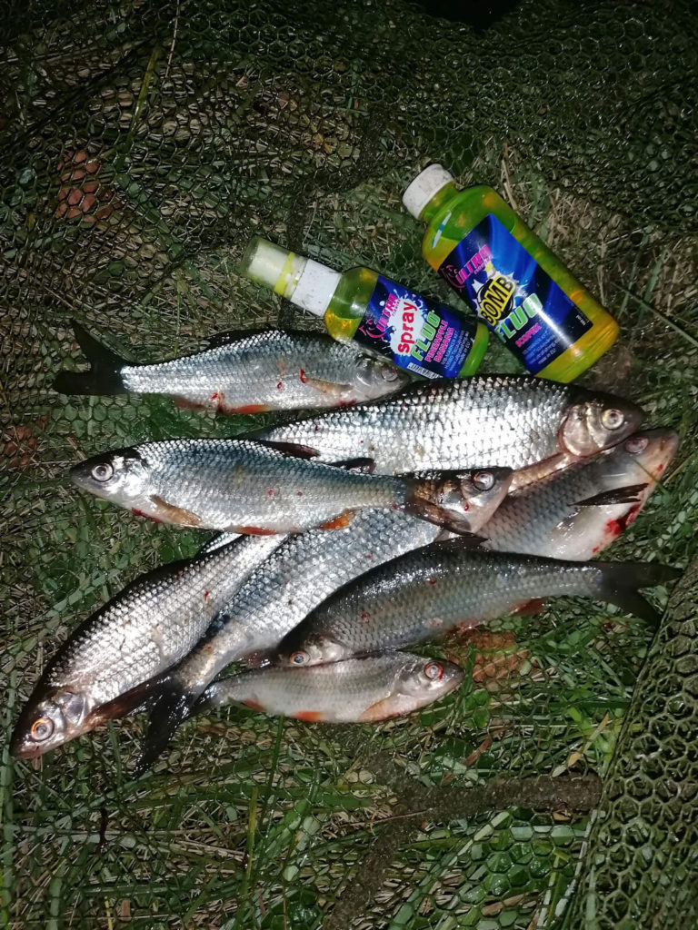 Trotz der bereits kühleren Temperaturen konnten die Leser noch einige Fische mit der Ultra Fishing Futtermischung fangen. Und sobald es wieder wärmer wird, kommen die Reste vom Winter zum Einsatz … Foto: M. Jackwerth