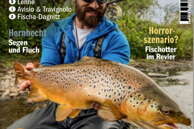 Die neue FliegenFischen 3/2021 – ab sofort im Handel und online verfügbar! Bild: FliegenFischen