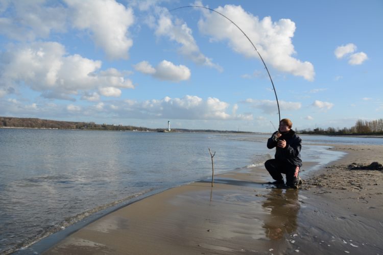 Feedern im Meer: Das geht? Und wie! Sebastian Rose zeigt, wie es funktioniert. Foto: S. Rose