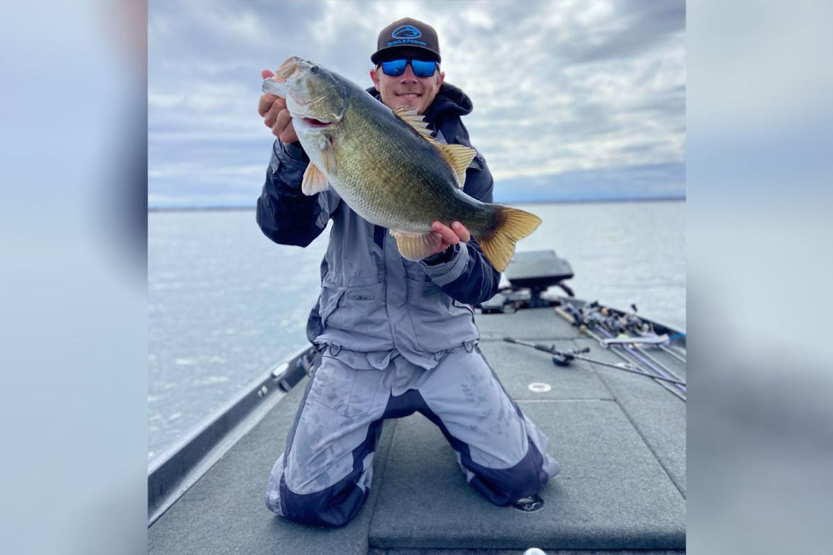 Bei dem gefangenen Hybridfisch handelt es sich um eine Kreuzung eines Forellenbarsches (Largemouth bass) und eines Schwarzbarsches (Smallmouth bass).