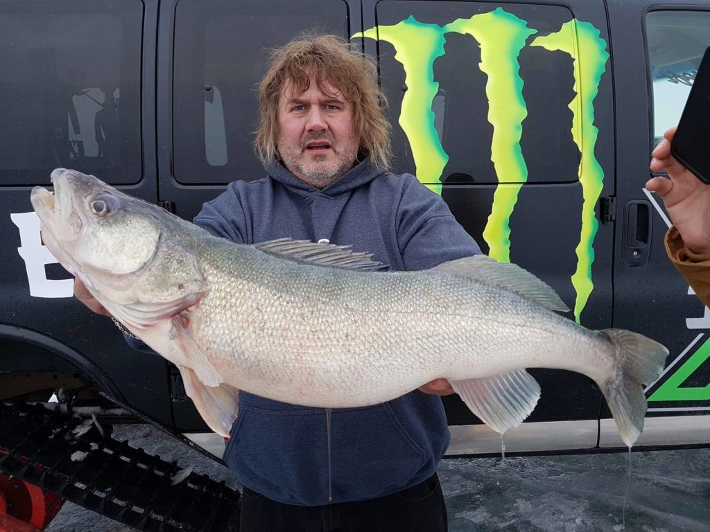 Angelguide Todd Longley mit einem kapitalen Greenback-Walleye. 