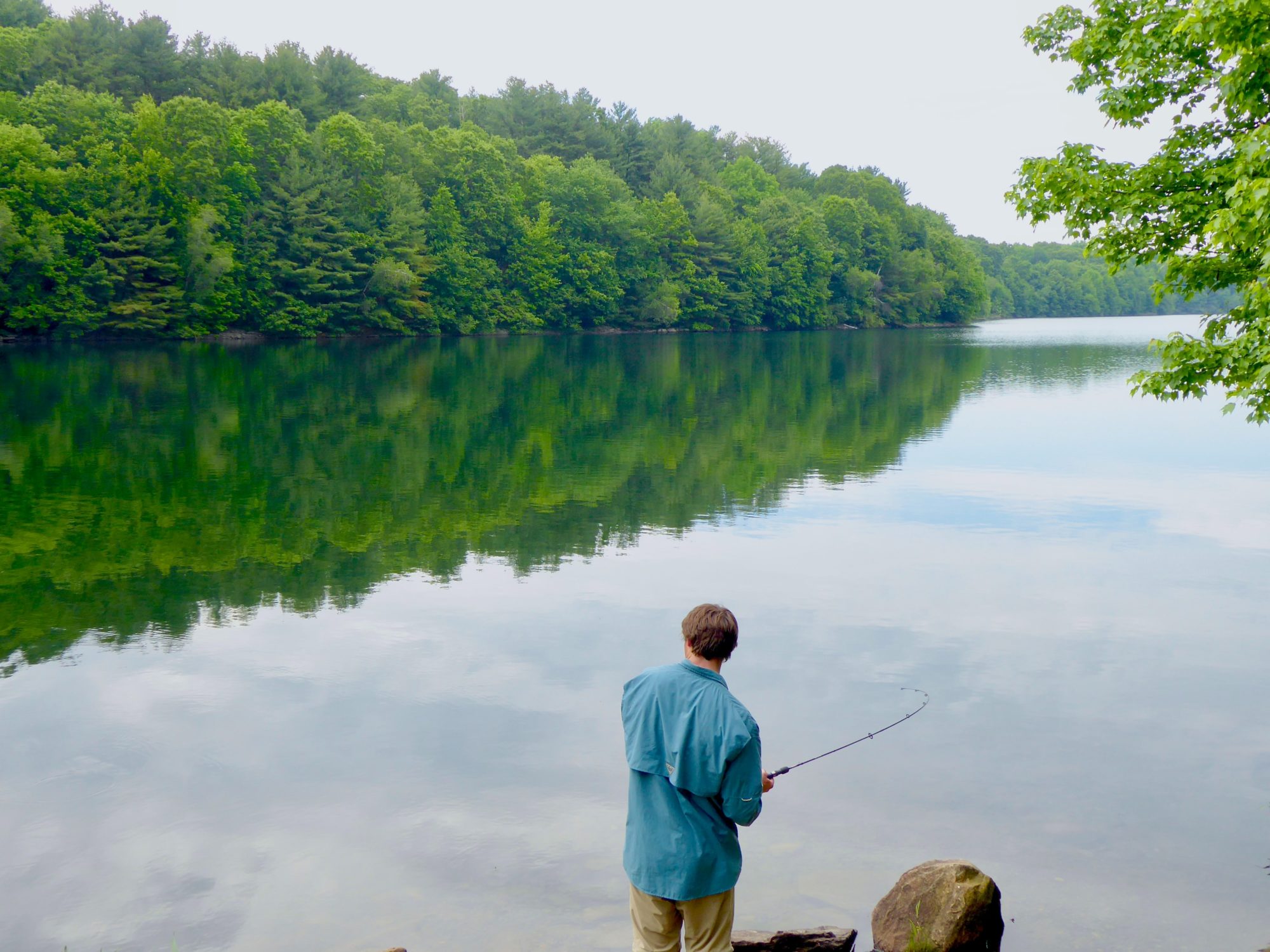 West Virginia: Record Musky amazes anglers