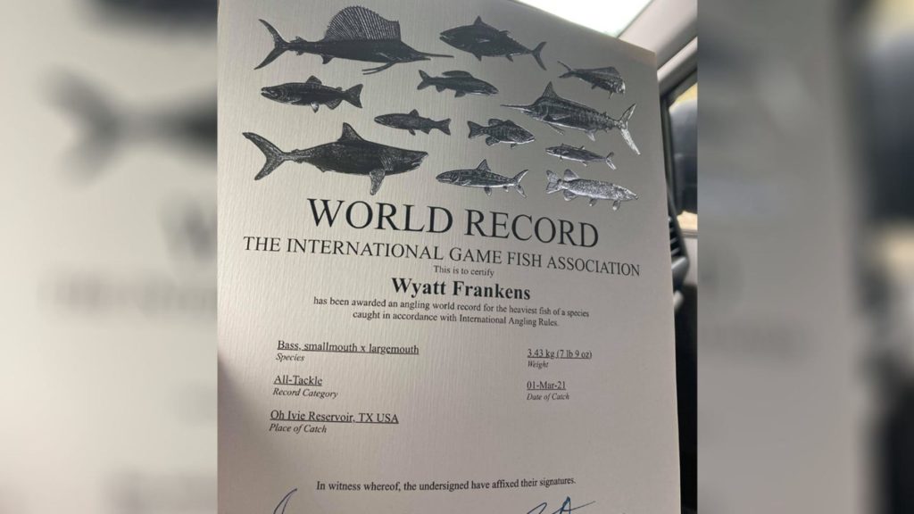 Eine offizielle Benachrichtigung von der International Game Fish Association (IGFA), die die Weltrekorde festhält, erhielt Frankens bereits.