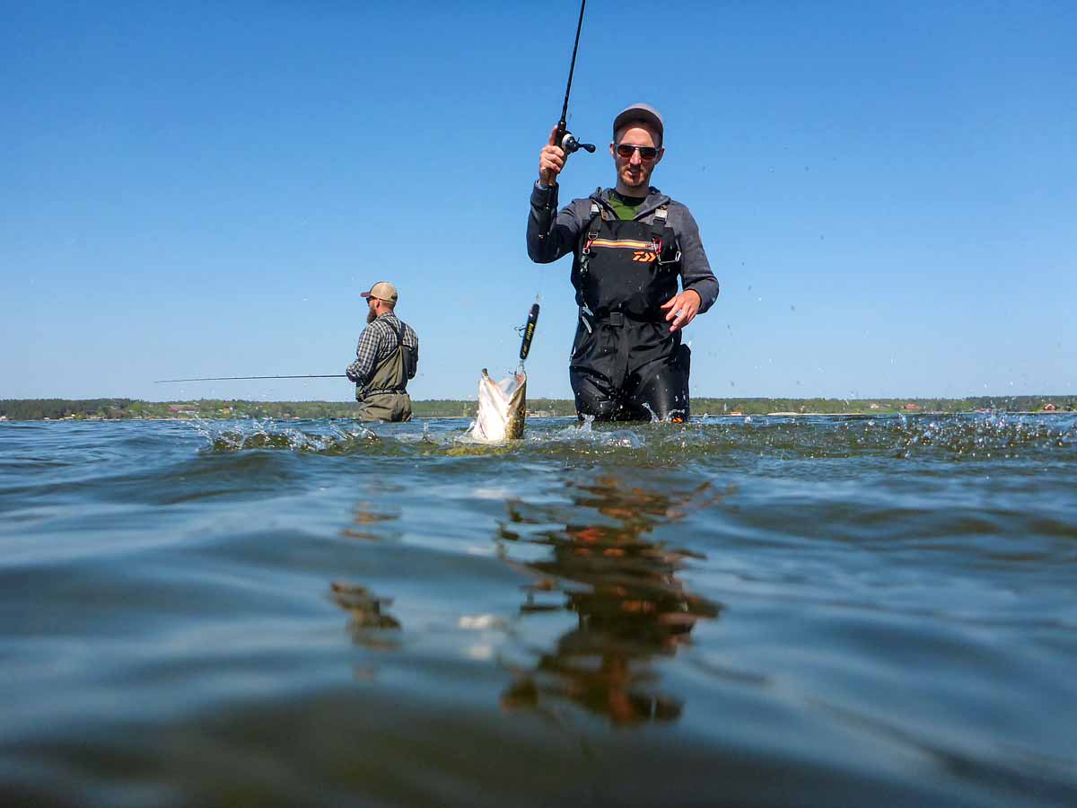 In den äußeren Bereichen der Schären findet ihr sandige Buchten und damit guten Watgrund. Foto: F. Pippardt