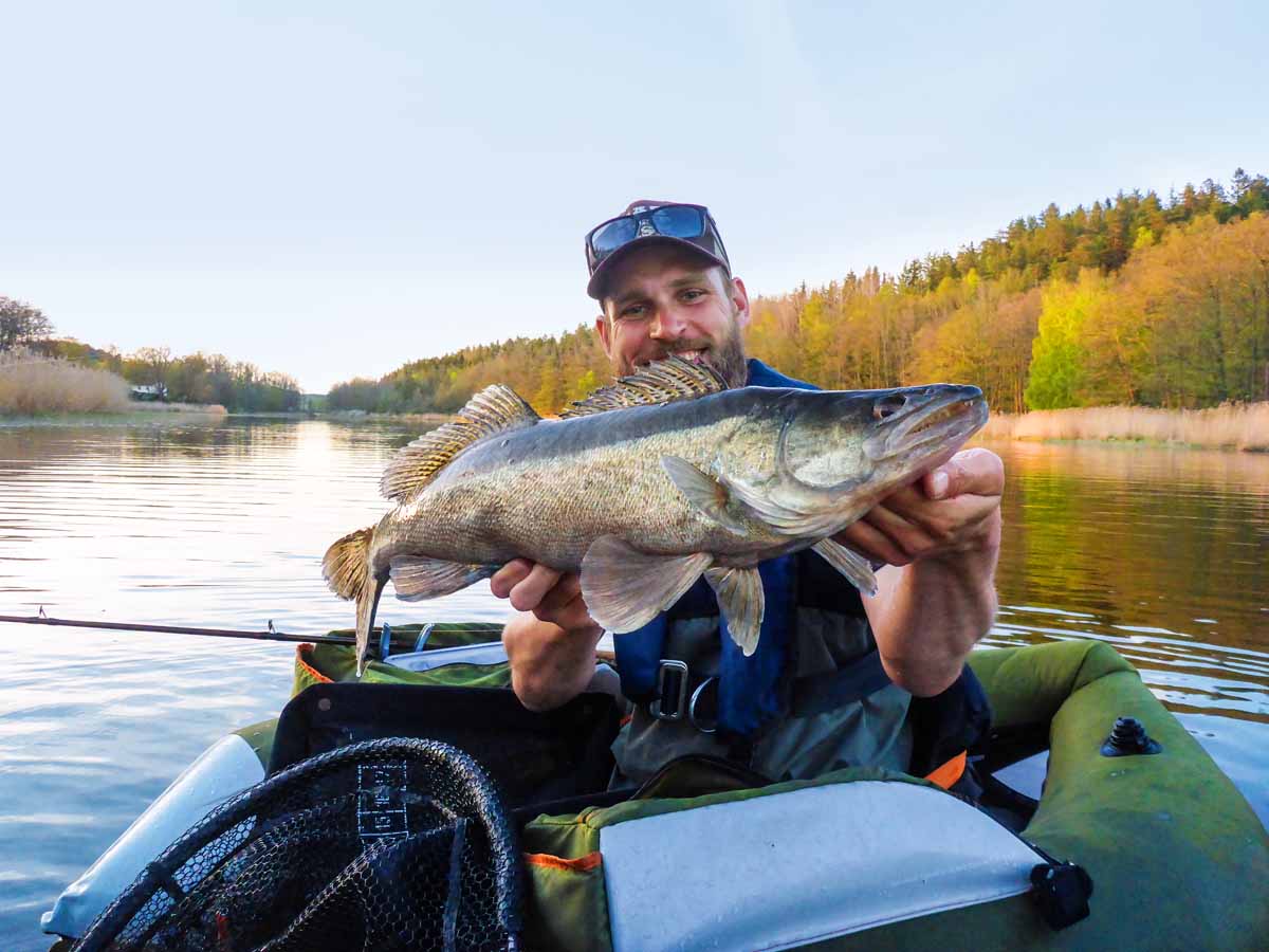 Glasauge: Im trüben, flachen Bereich im Landesinneren beißen vermehrt große Zander. Foto: J. Radtke