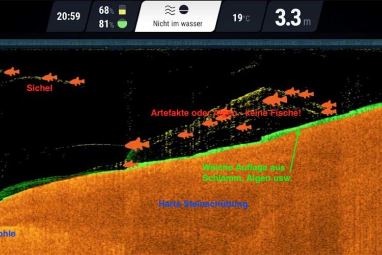 Ist das ein Wels? Die große „Fischansammlung“ dürfte eher ein Algenfeld sein. Interessant sind die beiden großen Sicheln in 2 m Tiefe. Die sehen stark nach einem großen Fisch aus, den das Echolot doppelt abgebildet hat.