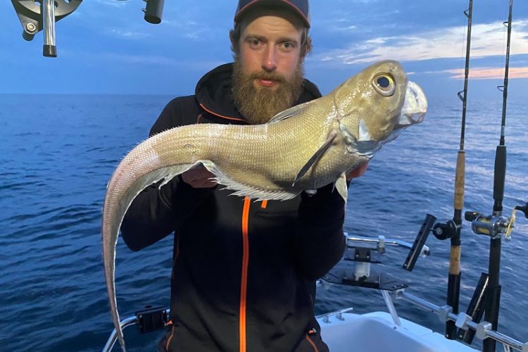 Zwei schwedische Angler stellen einen neuen Rekord für den „Rundnasen-Grenadier“ auf. Und das drei mal hintereinander!