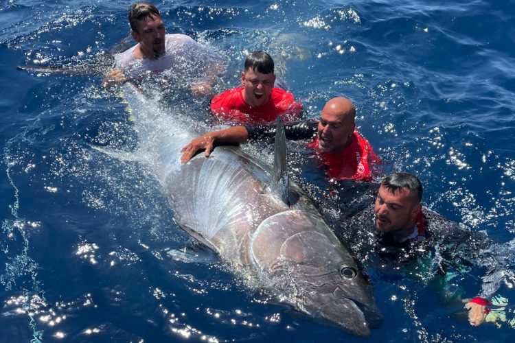 Ein massiver Fang gelang den Anglern vom Team Black Cat: Sie fingen einen 300 Kilogramm schweren Thunfisch vor Mallorca. Foto: Zebco Europe