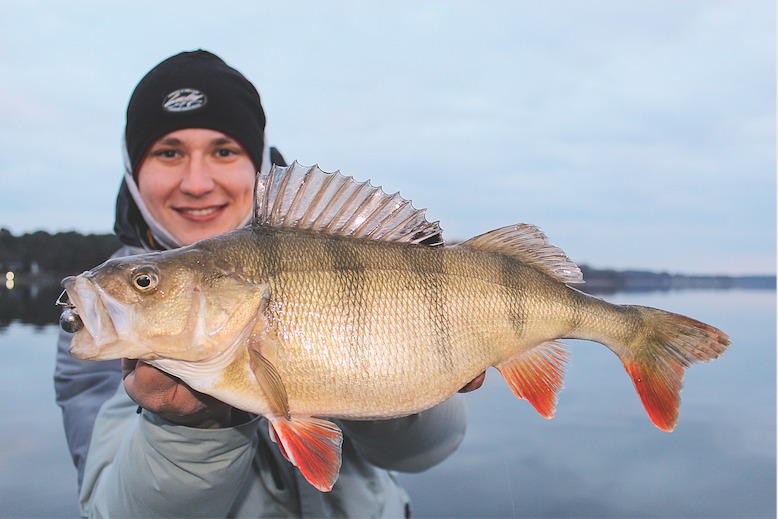 Angler hält einen großen Barsch in die Kamera