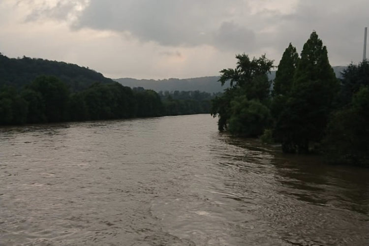 Das Hochwasser hat den Wasserspiegel der Ruhr deutlich angehoben.