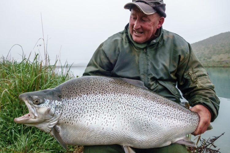 Die größte Bachforelle der Welt wog über 20 Kilogramm und stammt aus einem Kanal in Neuseeland. Die IGFA bestätigte den Rekordfang. Foto: Shamus Fishing Adventures - Turangi