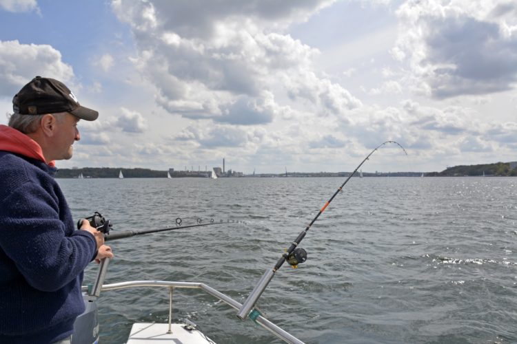 Deutschlands fischreichster Fjord: K&K 88 verrät die besten Bootsangelplätze in der Kieler Förde. Foto: S. Rose