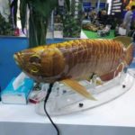 Auf einem Messestand sieht man von nahen den Robo-Fisch. Er ähnelt sehr den Arowana-Fisch.