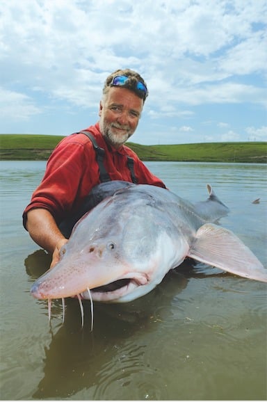 Olivier zeigt die Schnauze eines Beluga-Störs