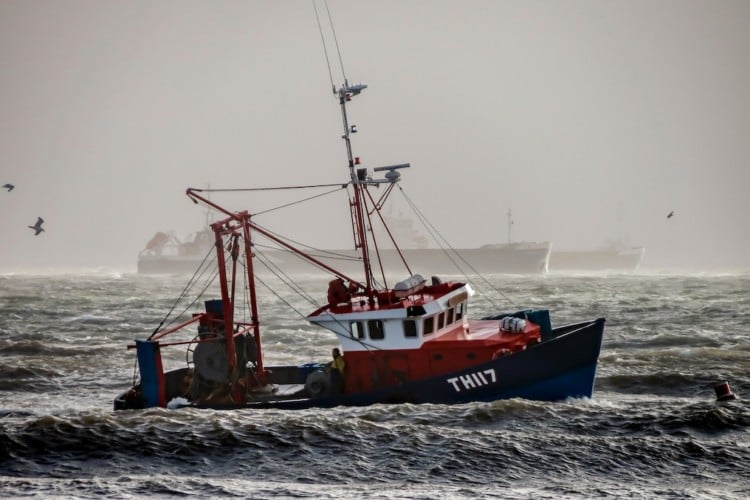 Trawler wie diese werfen laut Oceana Europe auch in den deutschen Gewässern ihre Schleppnetze aus.