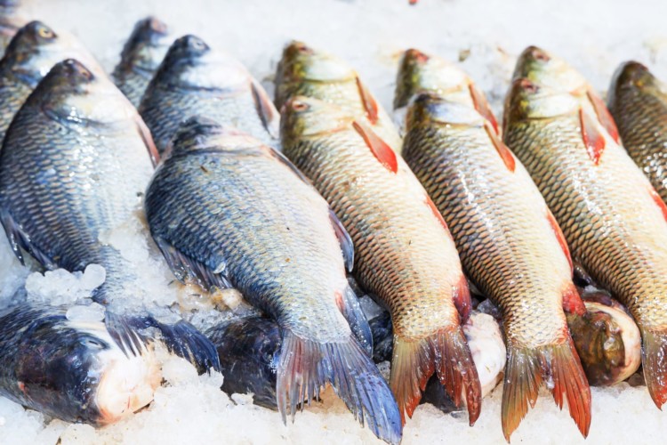 Gestapelte Fische auf Eis in einem Markt.