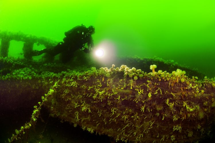 Das Geheimis des Dreimasters: Vor Fehmarn liegt ein auch bei Anglern bekanntes Wrack. Foto: Schulz