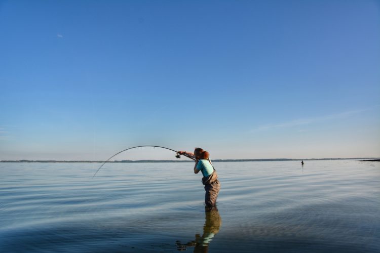 Ein Strand für große Fische: Waabs in Schleswig-Holstein. Foto: Rose